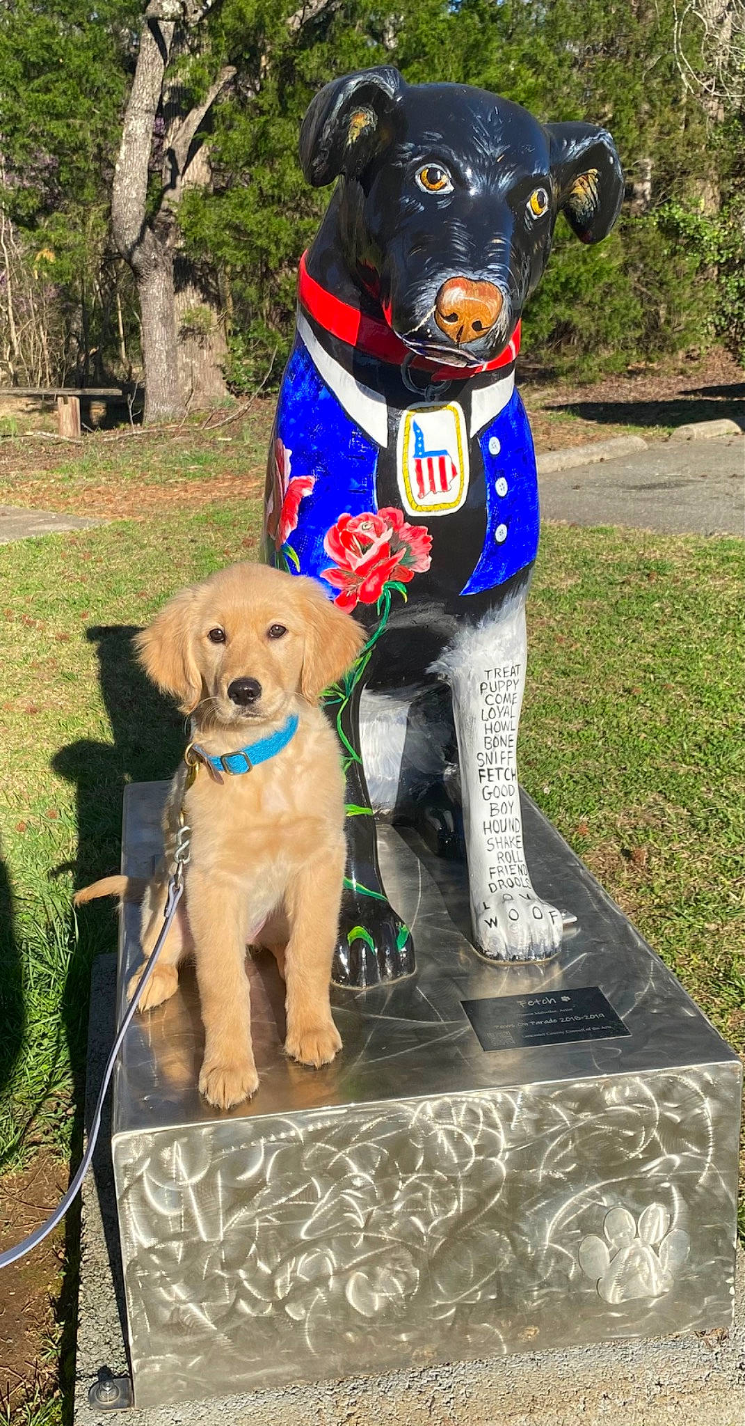 Sadie is registered to the contest to win money with this photo: art, canidae, carnivore, collar, companion_dog, dog, dog_breed, dog_clothes, dog_collar, dog_supply, fawn, grass, leash, personal_protective_equipment, pet_supply, plant, snout, sporting_group, tree, working_animal