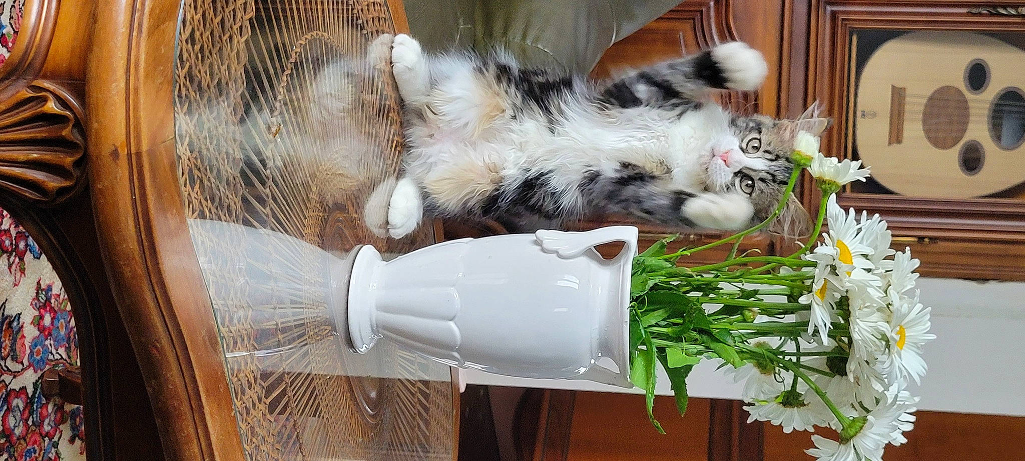Tounsy participe au concours pour gagner de l'argent avec cette photo : bottle, cat, companion_dog, drinking, felidae, flower, flower_arranging, fur, glass_bottle, herb, houseplant, plant, plastic_bottle, small_to_medium_sized_cats, tableware, tail, terrestrial_animal, whiskers, wood