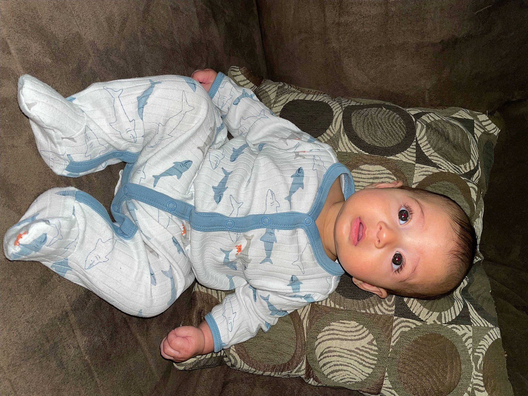 Luciano joined the competition — help win amazing prizes! baby, baby_products, baby_toddler_clothing, carmine, cheek, child, comfort, eye, nap, person, room, sitting, sleep, sleeve, toddler, wood