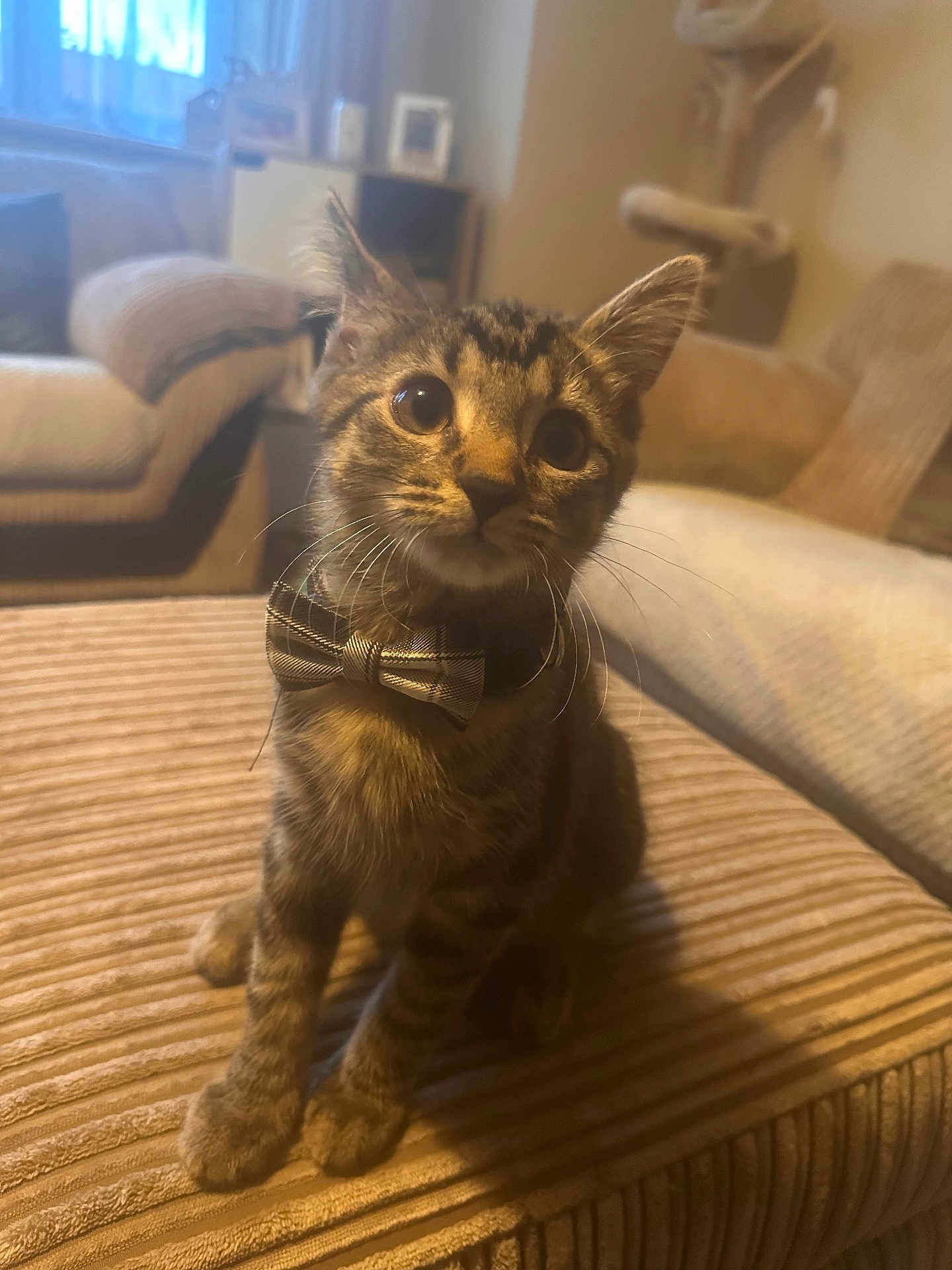Marley