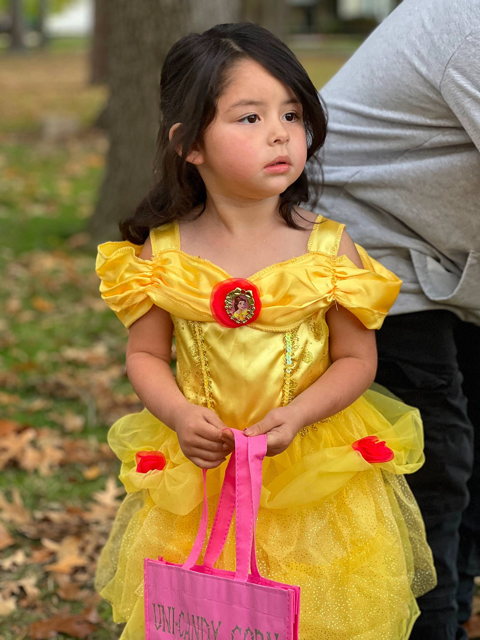 Alayah is registered to the contest to win money with this photo: beauty, child, costume, day_dress, doll, dress, event, fashion_design, formal_wear, grass, happy, magenta, one_piece_garment, peach, person, pink, ruffle, skin, textile, toddler