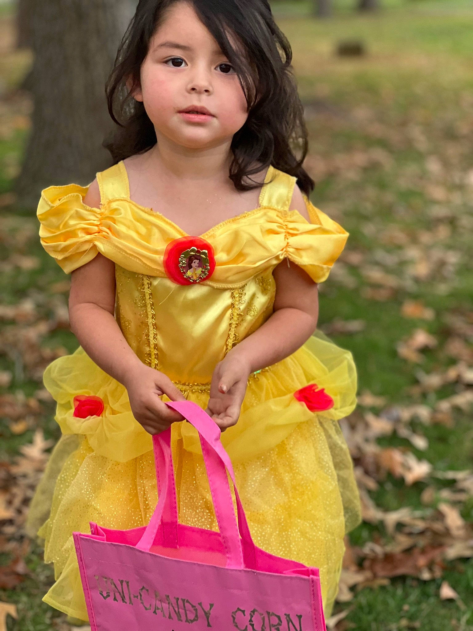 Alayah is registered to the contest to win money with this photo: child, day_dress, doll, dress, embellishment, event, fashion_design, fawn, formal_wear, grass, happy, head, magenta, one_piece_garment, peach, people_in_nature, person, pink, ruffle, sleeve