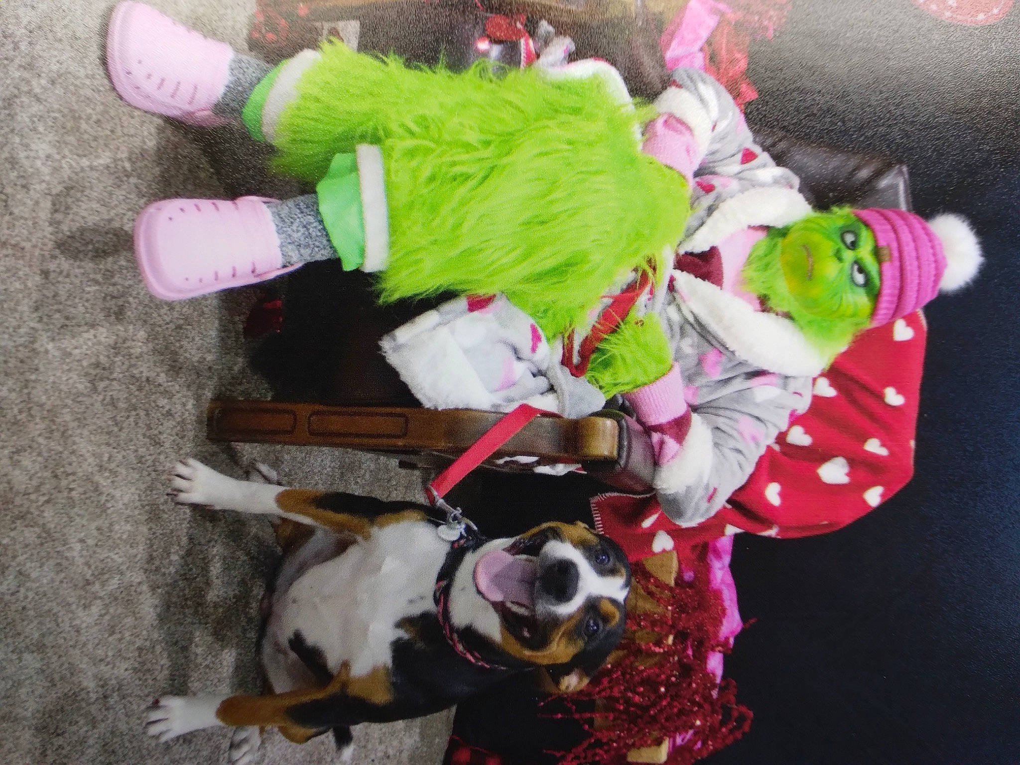Dixie Mae joined the competition — help win amazing prizes! carnivore, collar, companion_dog, costume, dog, dog_breed, dog_clothes, dog_collar, dog_supply, event, fawn, fictional_character, fun, leash, pet_supply, pink, snapshot, stuffed_toy, white, working_animal