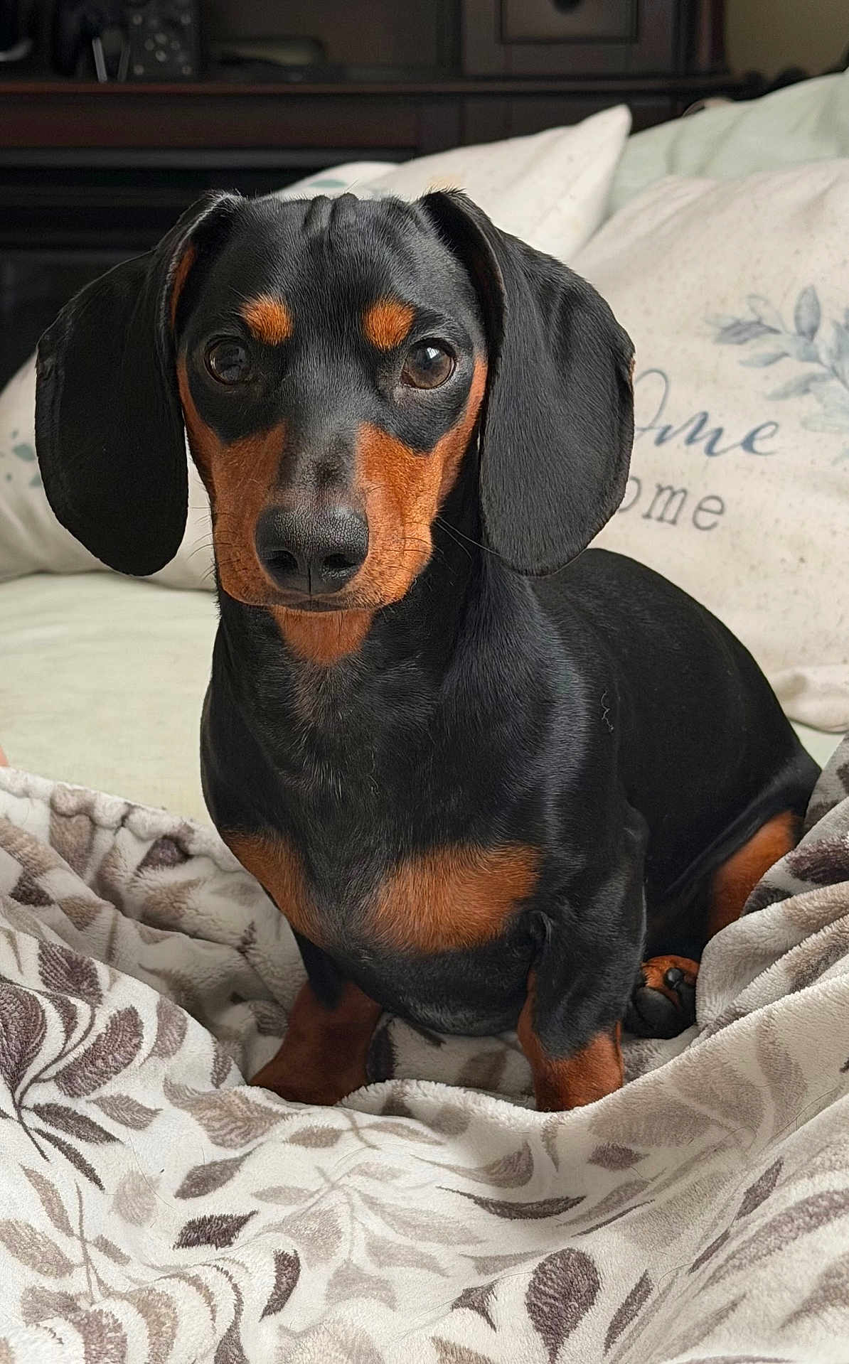 Benji
