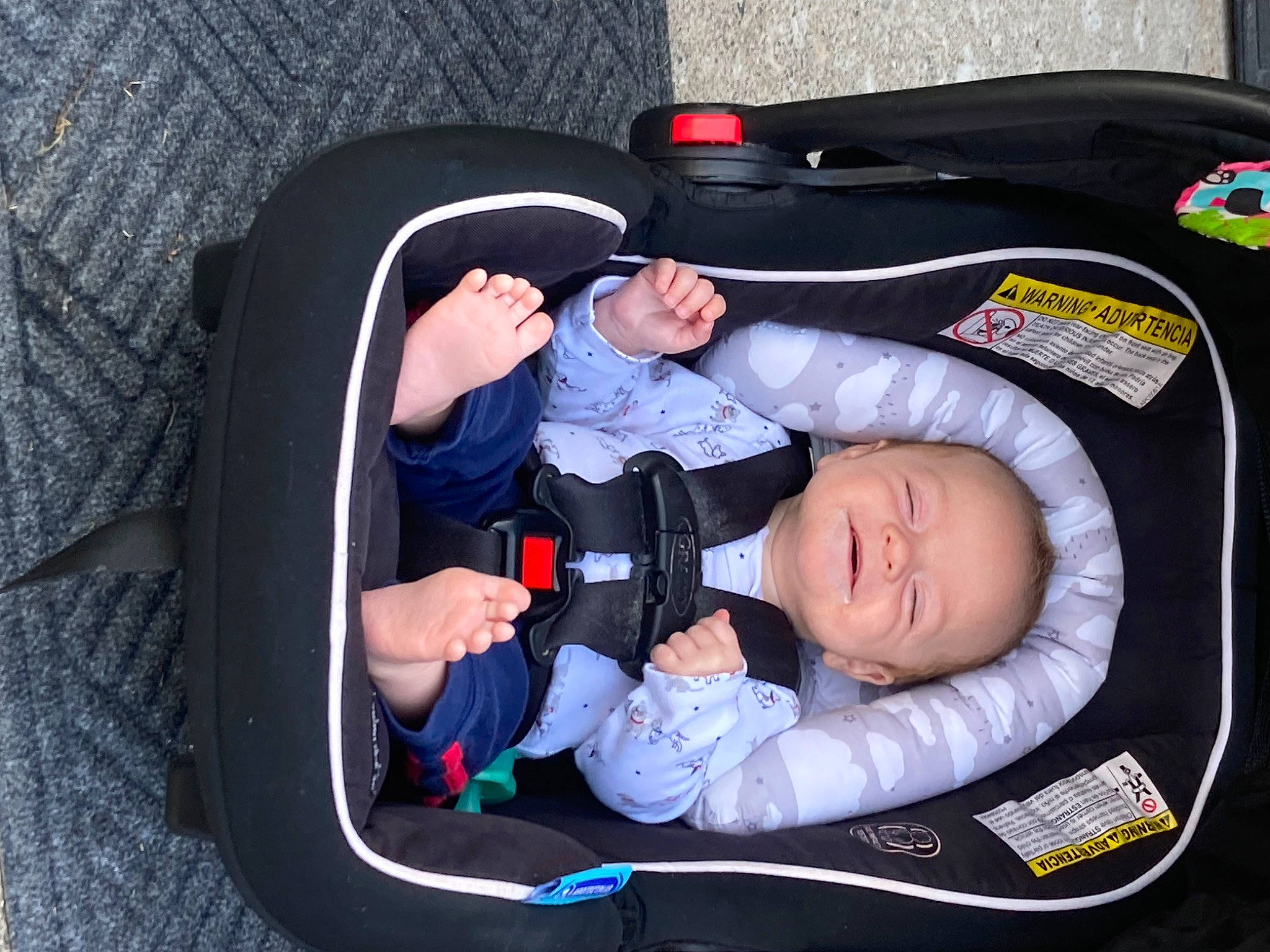Atticus is registered to the contest to win money with this photo: baby, baby_carriage, baby_in_car_seat, baby_products, baby_safety, baby_toddler_clothing, bag, car_seat, child, comfort, infant_bed, lap, luggage_and_bags, person, product, sitting, toddler, travel_pillow