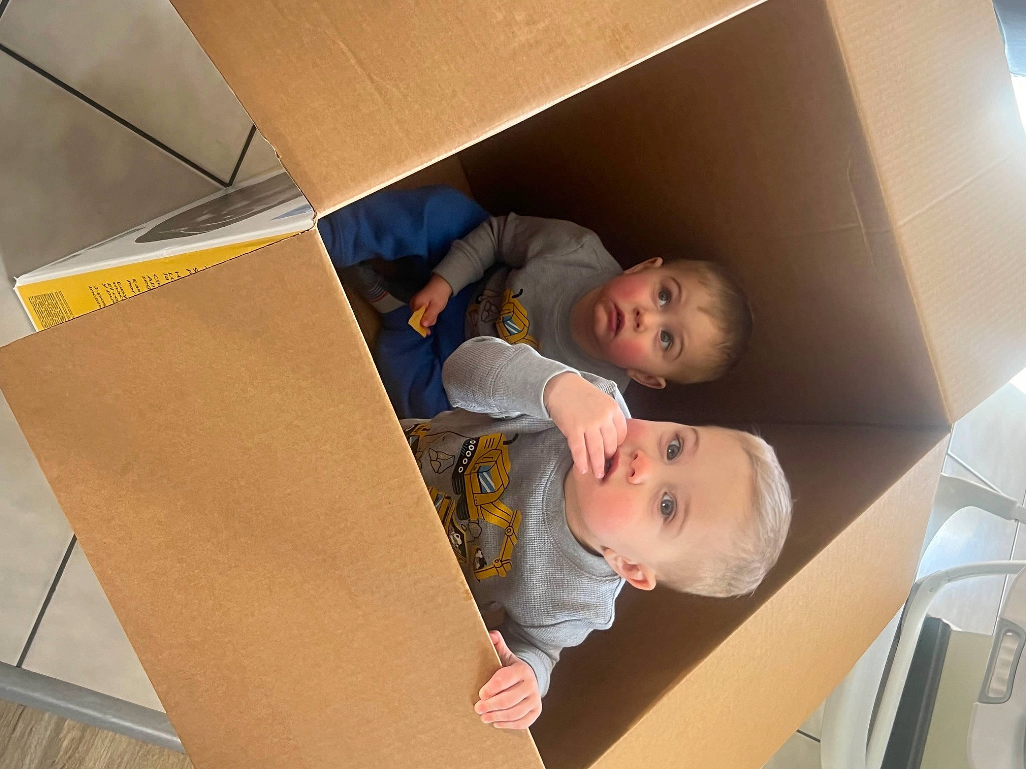 Brayden joined the competition — help win amazing prizes! baby, box, cardboard, carton, ceiling, child, comfort, floor, flooring, fun, hardwood, packaging_and_labeling, paper, paper_product, person, plywood, room, shipping_box, space, surprise