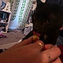 Luna joined the competition — help win amazing prizes! cat, black_cat, hand, treat, indoor, room, carpet, vines, wall_decor, photos, shelf, books, light, furniture, curtains, cozy, pet, licking, blur, close_up