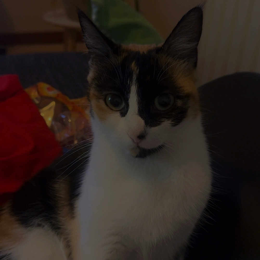 Rosie