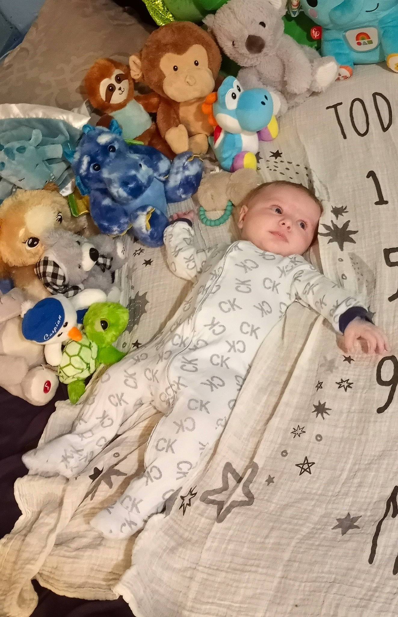 Caspian is registered to the contest to win money with this photo: art, baby, baby_products, baby_toddler_clothing, baby_toys, cheek, child, event, fictional_character, happy, linens, pattern, person, product, sleeve, stuffed_toy, teddy_bear, textile, toddler, toy