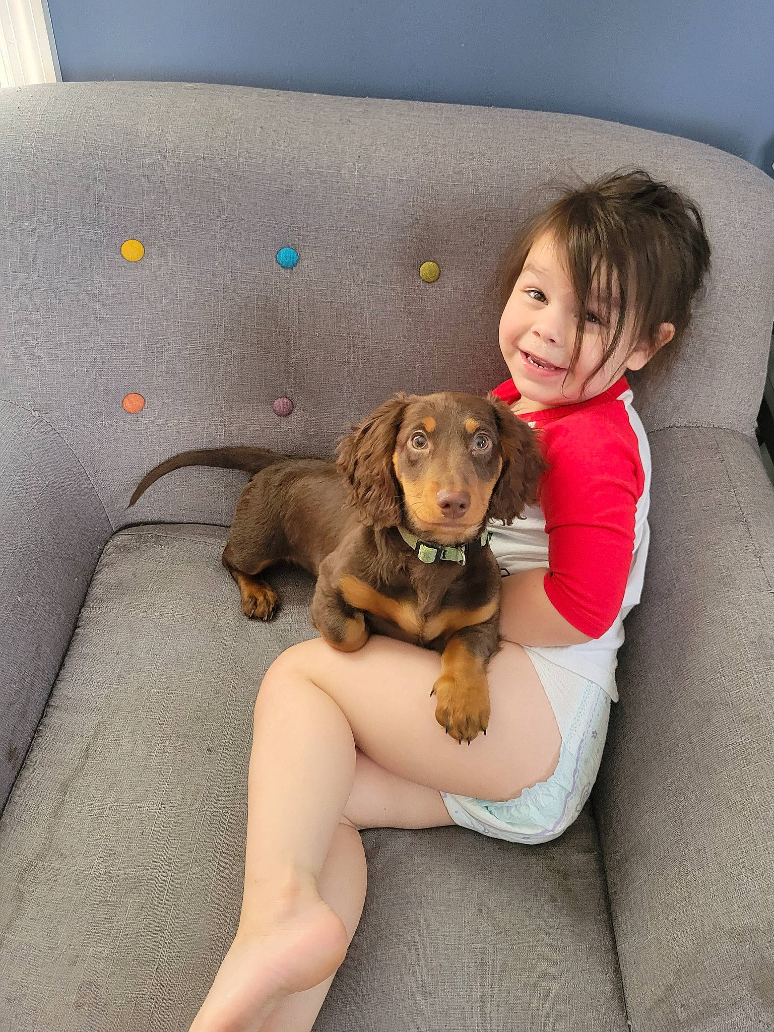 Toby is registered to the contest to win money with this photo: canidae, car_seat, carnivore, comfort, companion_dog, dog, dog_breed, fawn, foot, fun, fur, happy, liver, paw, sitting, smile, sporting_group, toddler, vehicle_door, working_animal