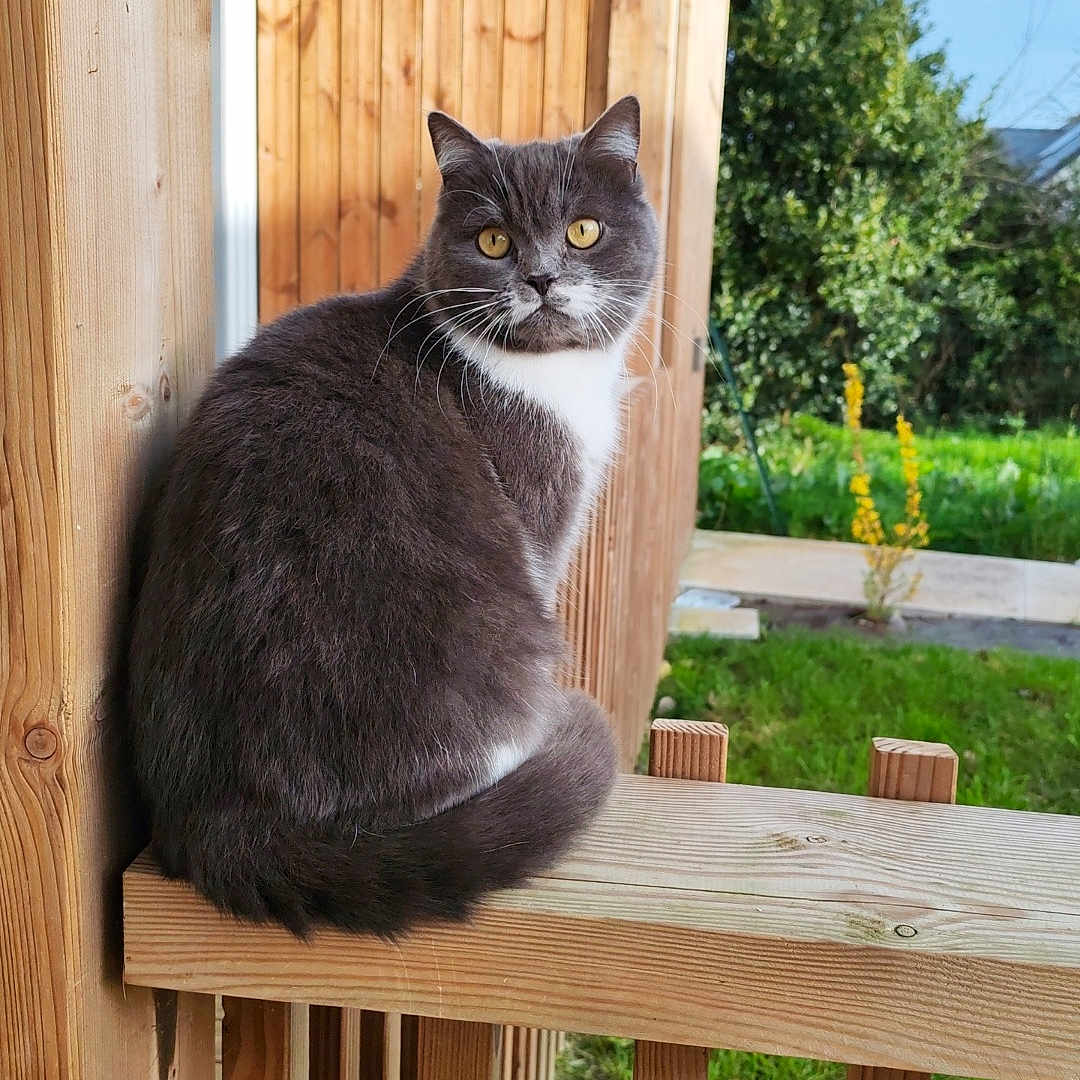 Kiara