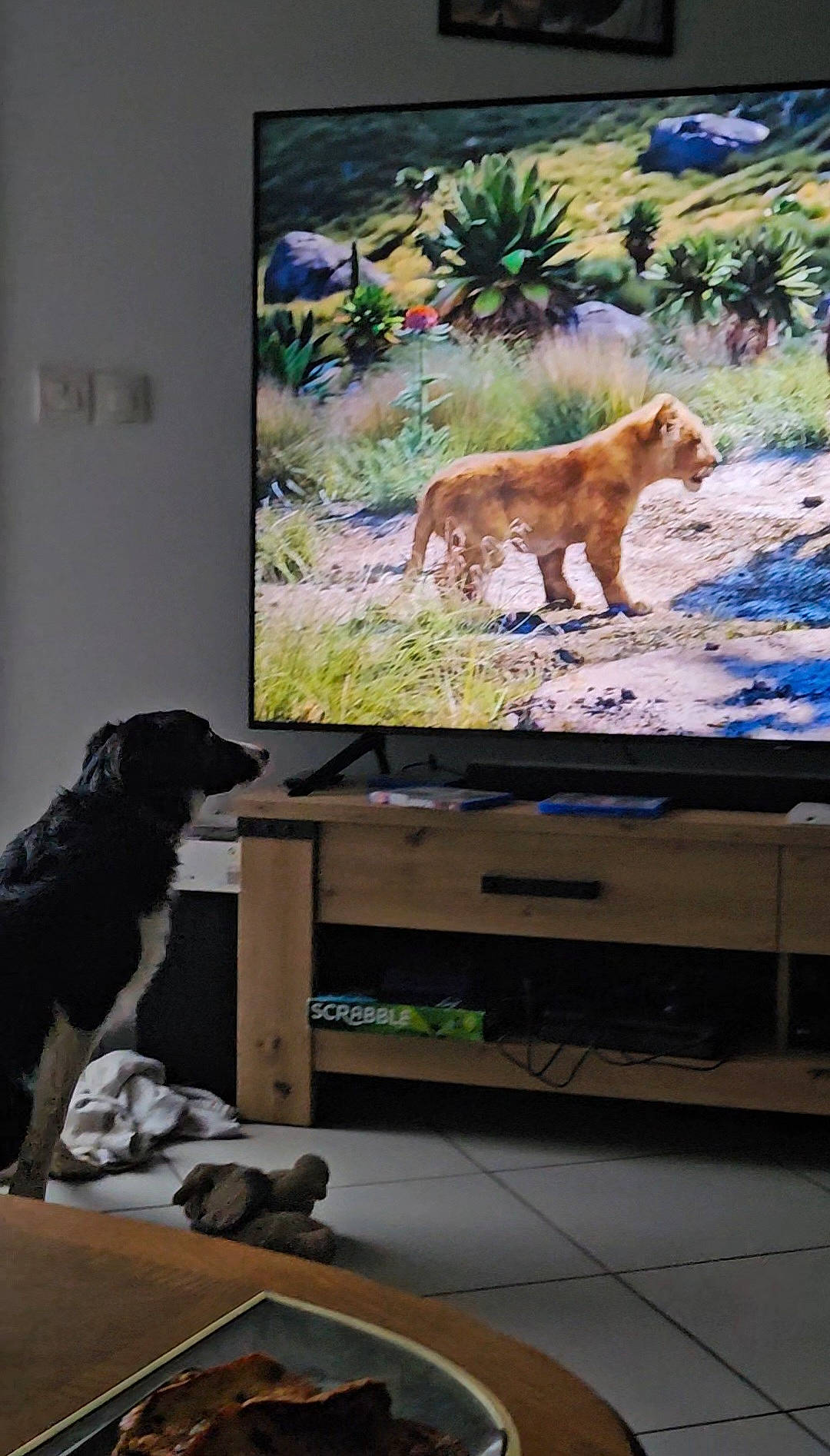 Harley participe au concours pour gagner de l'argent avec cette photo : art, big_cats, canidae, carnivore, dog, dog_breed, fawn, felidae, flat_panel_display, grass, lion, masai_lion, natural_landscape, painting, plant, sporting_group, tail, terrestrial_animal, tree, wildlife