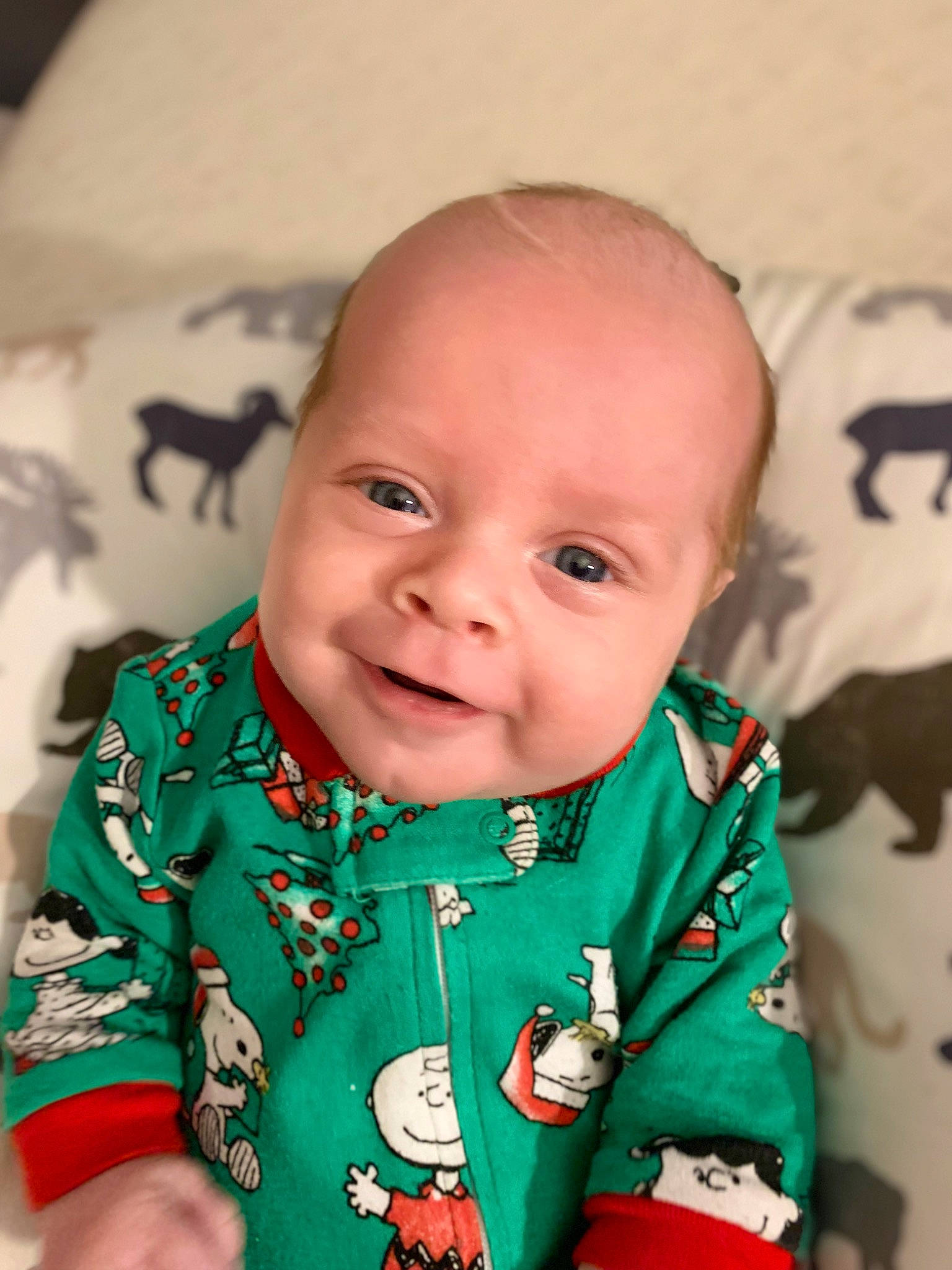 Brenden is registered to the contest to win money with this photo: baby, baby_toddler_clothing, cheek, child, chin, collar, dress, event, eye, finger, grass, happy, iris, linens, pattern, person, skin, sleeve, smile, t_shirt