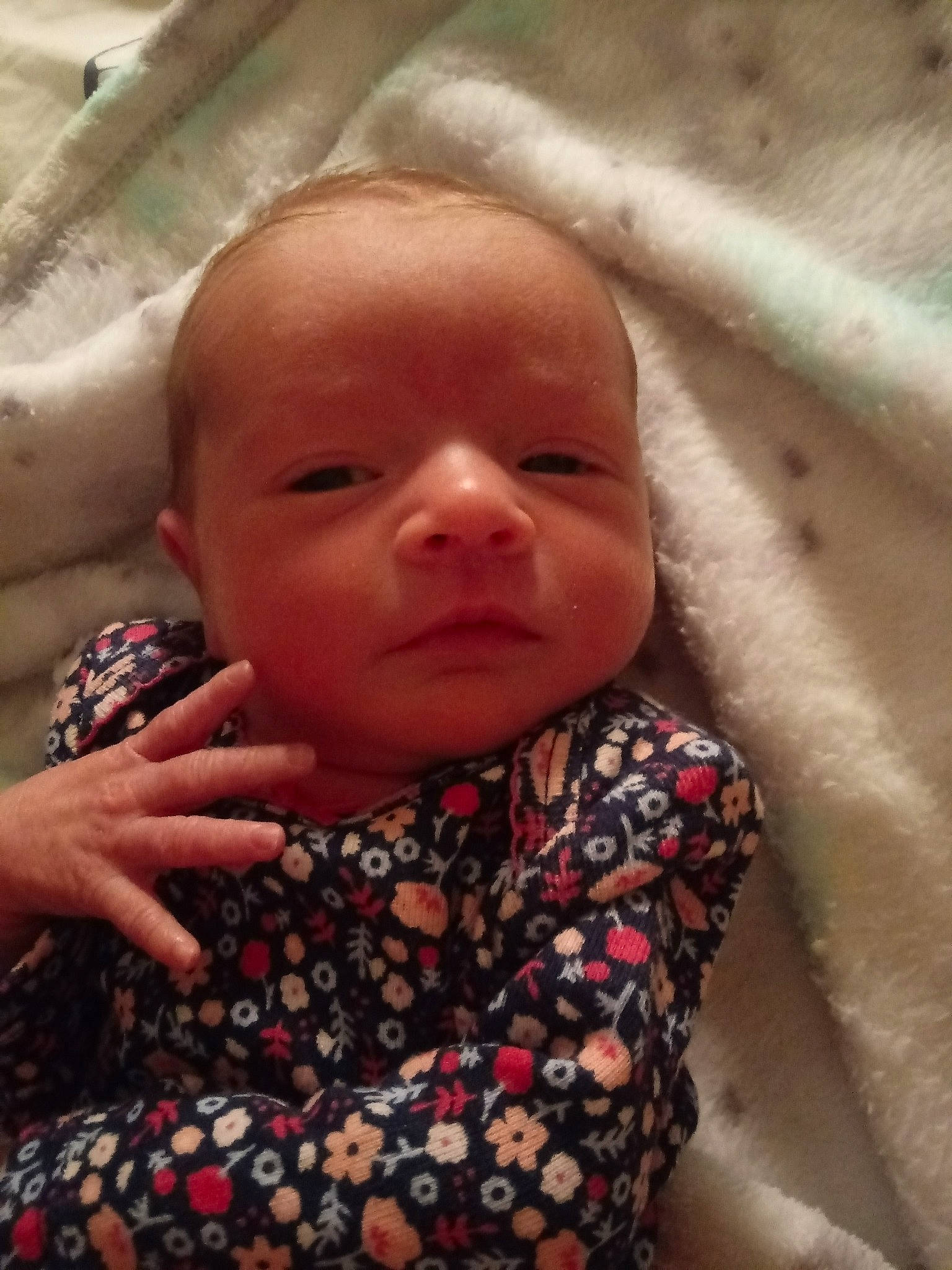 Phoenyx is registered to the contest to win money with this photo: baby, cheek, child, face, head, lip, mouth, nose, person, skin, smile, toddler