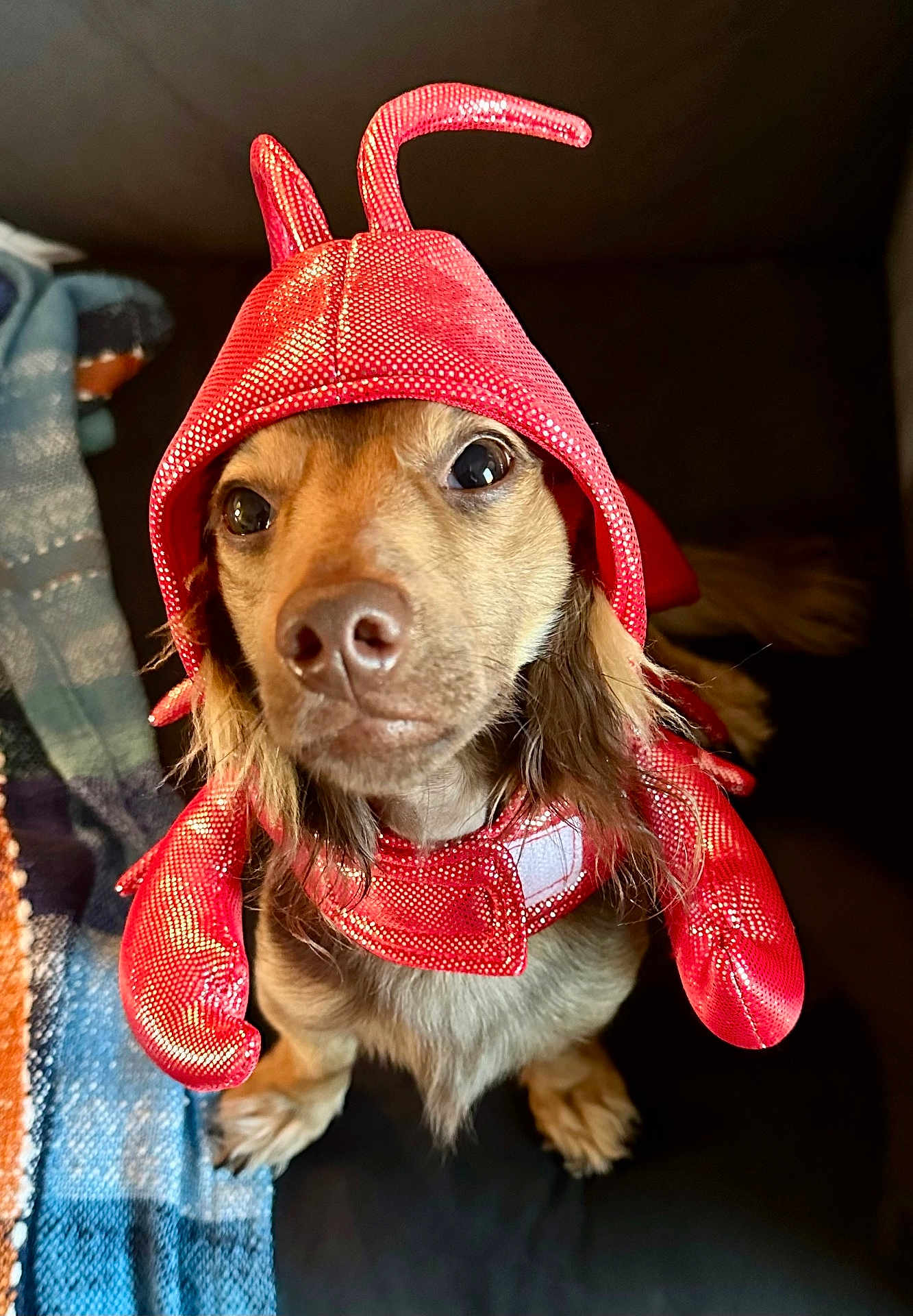 Oscar Meyer