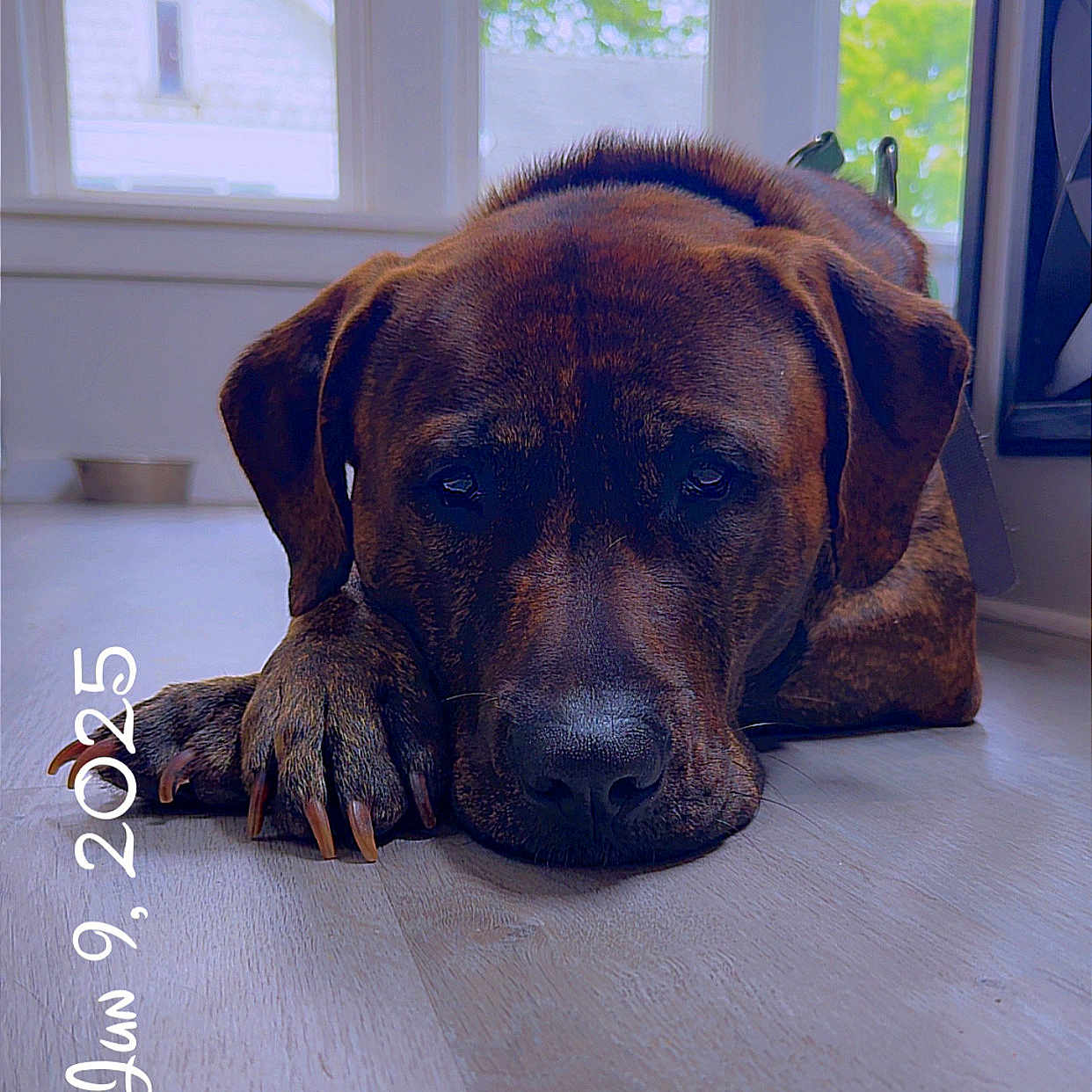 Copper