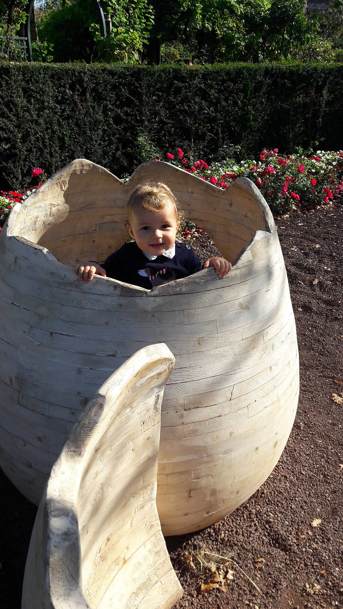 Abraham participe au concours pour gagner de l'argent avec cette photo : carving, flower, fun, person, plant, sculpture, tree