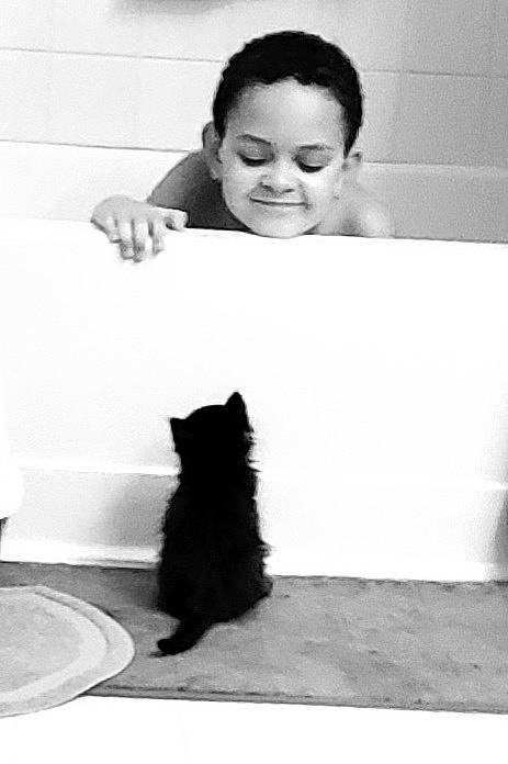 Simba joined the competition — help win amazing prizes! bathtub, black, black_and_white, carnivore, cat, eye, felidae, gesture, hair, hairstyle, happy, head, human_body, mammal, organ, photograph, small_to_medium_sized_cats, smile, style, white