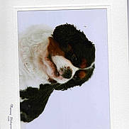 Guinness joined the competition — help win amazing prizes!