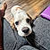 Charlie Bean