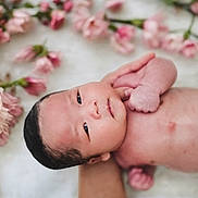 Joseph is registered to the contest to win money with this photo: baby, bathing, bodypart, face, finger, flower, flowerarrangement, hand, happy, head, ikebana, newborn, person, petal, photography, plant, portrait, rose, sleeping, smile