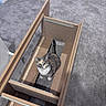 cat, calico_cat, carpet, wood, drawer, furniture, indoor, pet, animal, curious, looking_up, assembly, floor, home, gray_carpet, wooden_frame, domestic_cat, sitting, feline, household