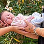 baby, sleeping, hands, tattoo, bracelet, pink_clothing, white_pants, flower, greenery, outdoor, person, infant, peaceful, nature, portrait, closeup, skin, rest, cute, tenderness