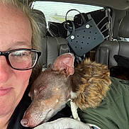 Ozzie Pawsbourne is registered to the contest to win money with this photo: person, dog, glasses, car, seat, jacket, fur, sleeping, closeup, travel, window, road, bag, backseat, cozy, snuggling, portrait, companion, animal, comfort