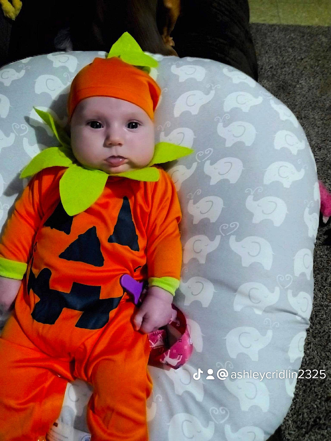 Bree is registered to the contest to win money with this photo: baby, baby_products, baby_toddler_clothing, cap, child, costume, fictional_character, fun, glove, headgear, headwear, hood, magenta, orange, pattern, person, personal_protective_equipment, sleeve, textile, toddler