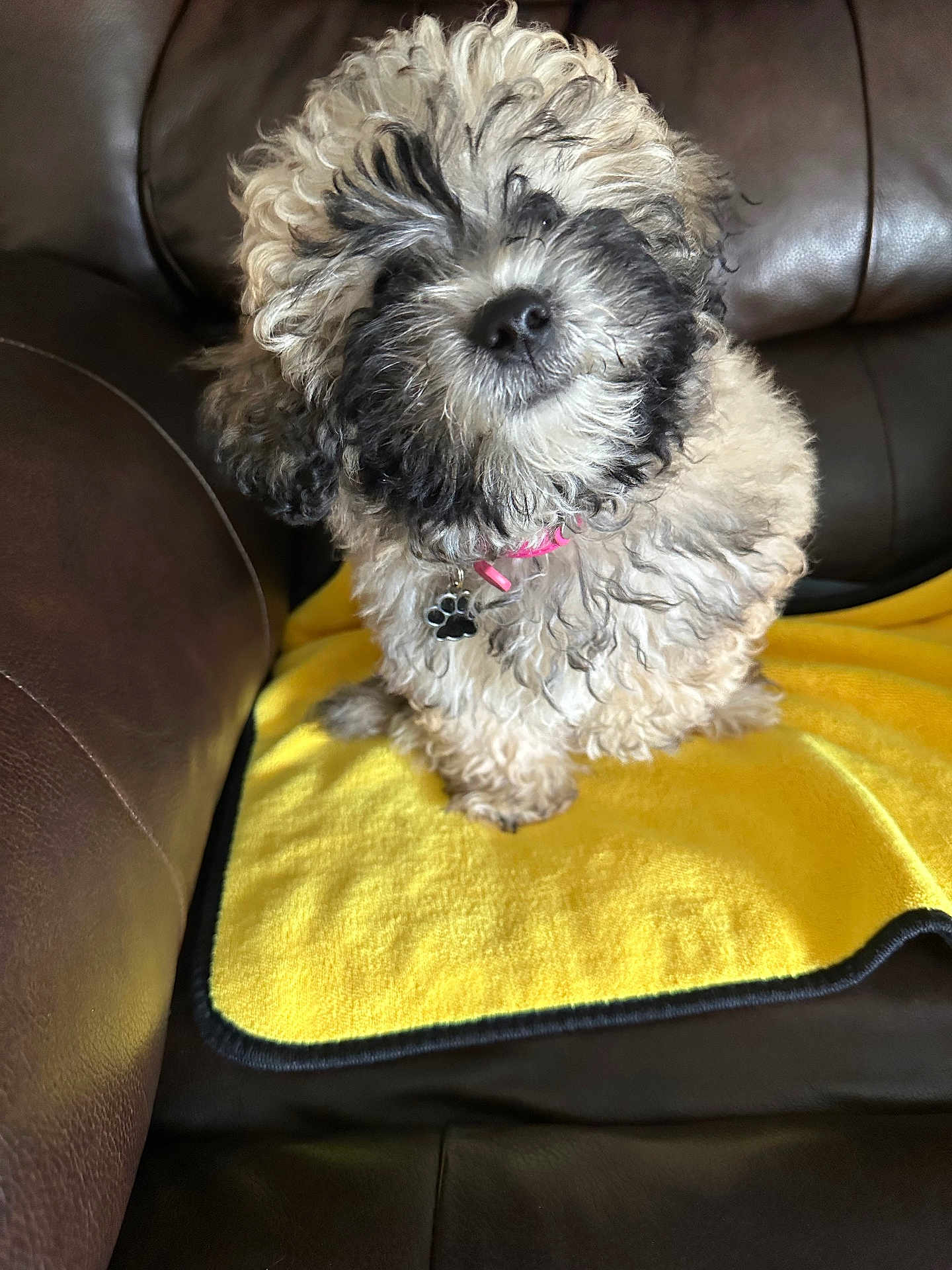 Maggie