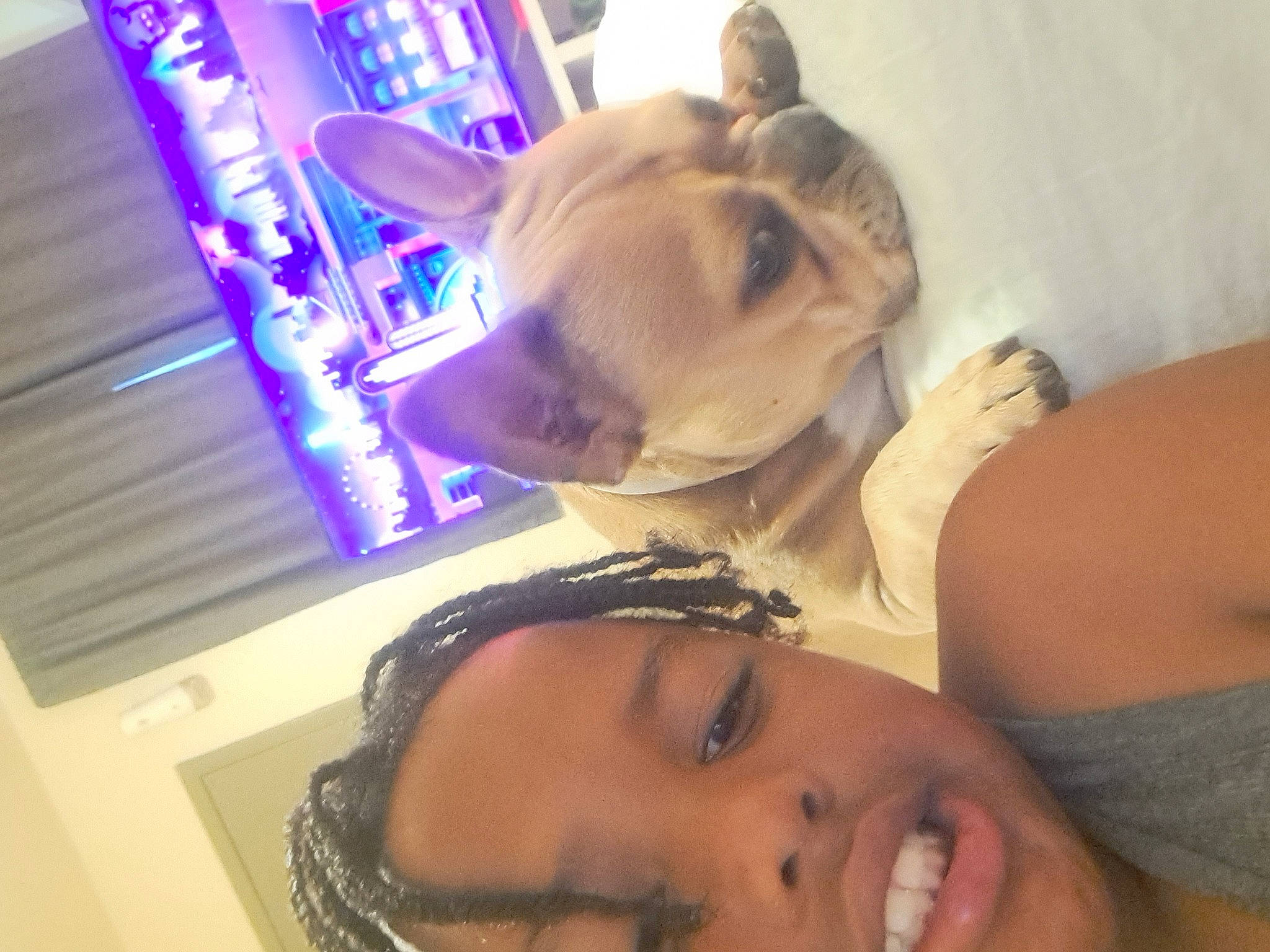 Daisy is registered to the contest to win money with this photo: beauty, carnivore, chest, companion_dog, dog, ear, eye, eyebrow, eyelash, eyewear, fawn, fun, happy, jaw, mouth, neck, nose, selfie, trunk, whiskers