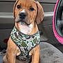 dog, puppy, harness, camouflage_pattern, car_interior, car_seat, steering_wheel, pink_steering_wheel_cover, paws, brown_fur, white_marking, seat_fabric, window, rear_view_mirror, dashboard, portrait, sitting, close_up, cute_expression, young