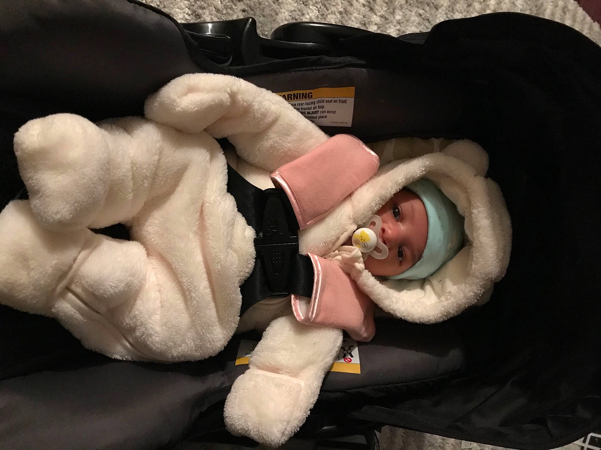 Farrah is registered to the contest to win money with this photo: comfort, fur, headwear, humour, interaction, person, plush, stuffed_toy, tongue, tooth, toy