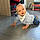 Aksel