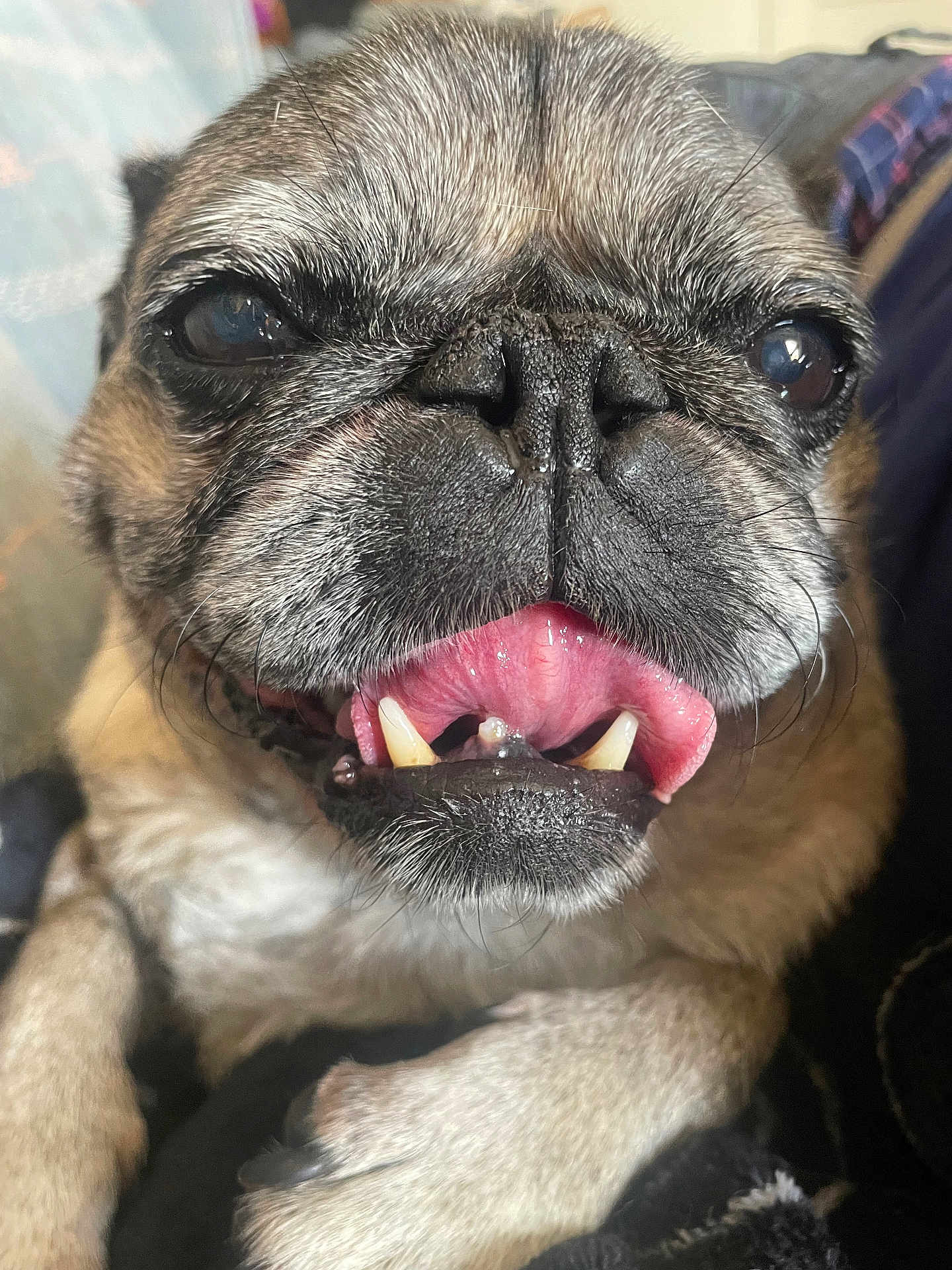 Ellie