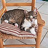cat, tabby_cat, striped_cushion, wooden_chair, indoor, floor_tiles, painting, artwork, curious, pet, animal, feline, relaxed, paw, ears, face, eyes, fur, home, cozy