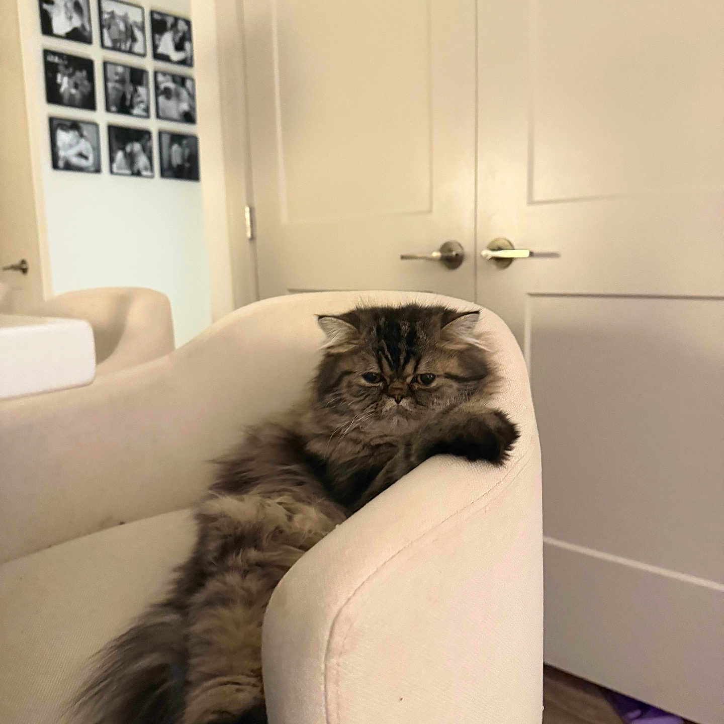 Bean