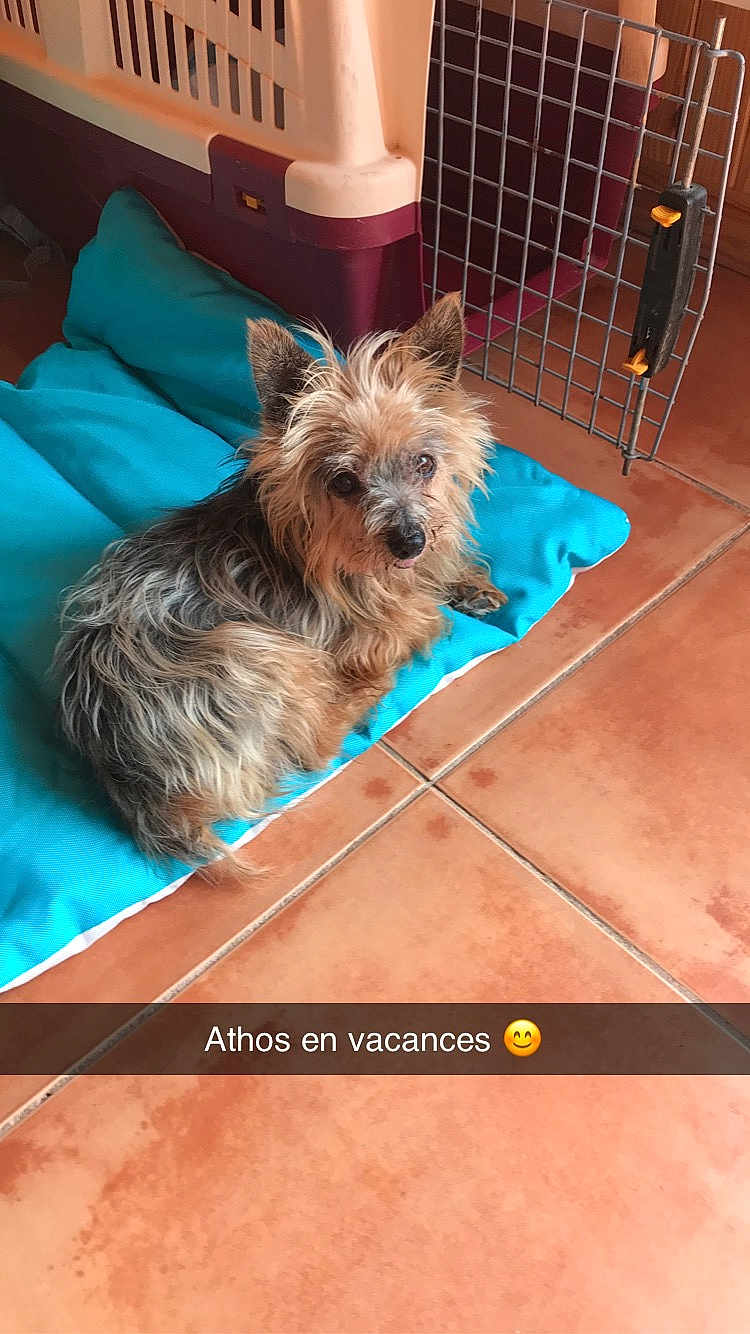 Athos