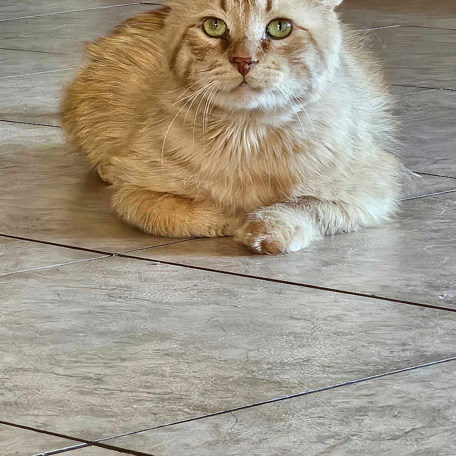 Charles Aka Charzard