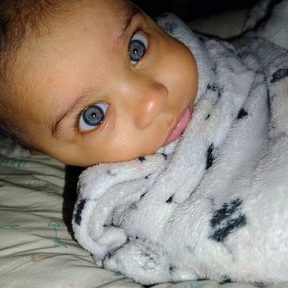 Sukaya is registered to the contest to win money with this photo: animal, baby, bed, bedroom, blanket, bodypart, face, furniture, happy, head, indoors, mouth, newborn, person, photography, portrait, quilt, room, smile, towel