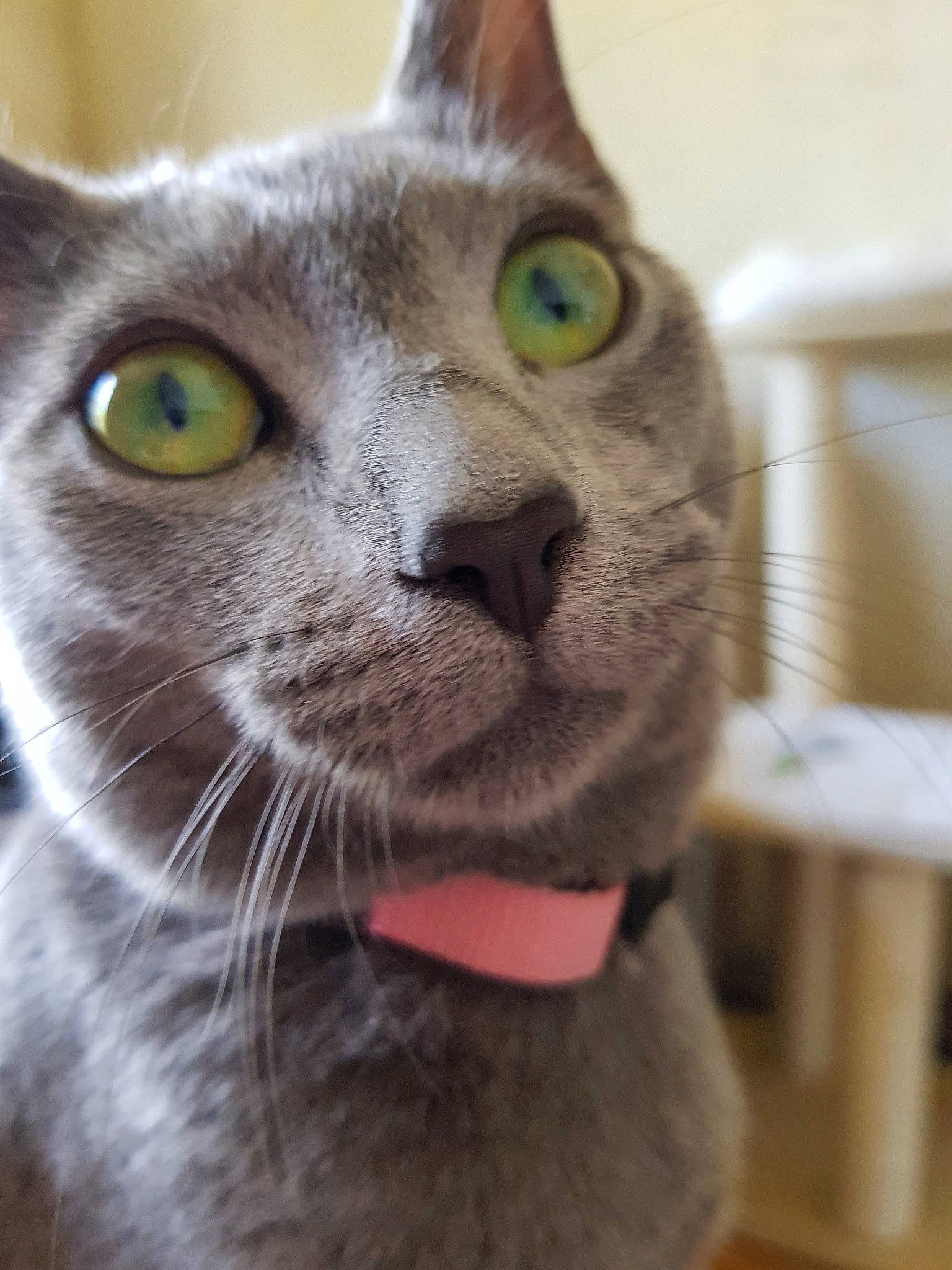 Perle And Providence