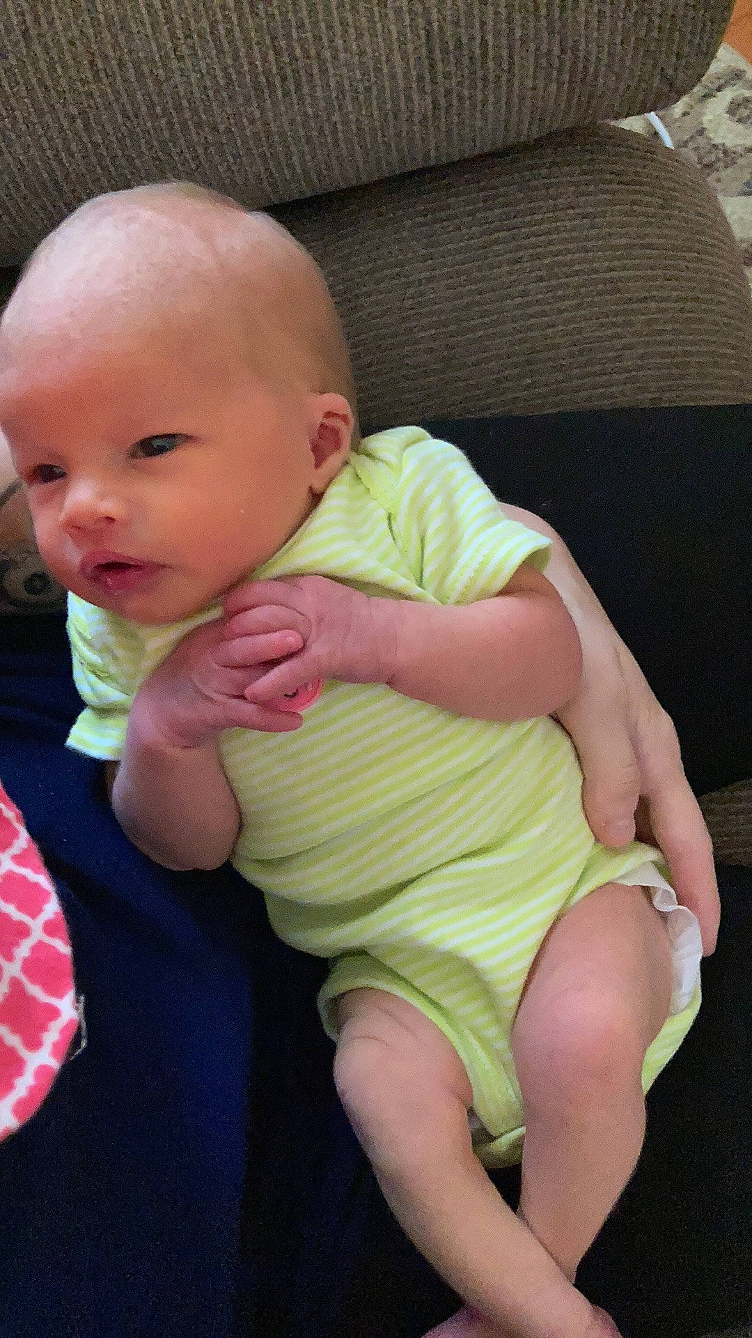 Darlene Marie Barnes