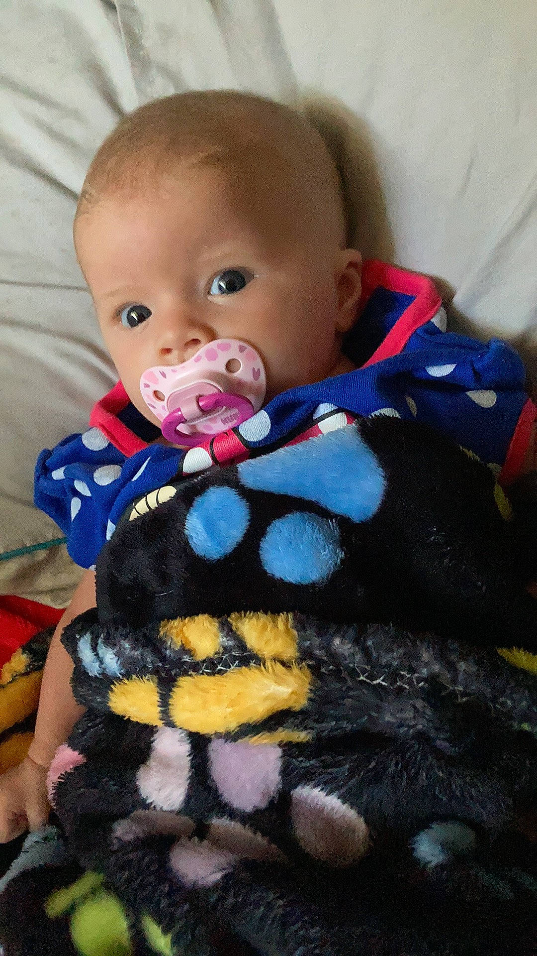 Darlene Marie Barnes