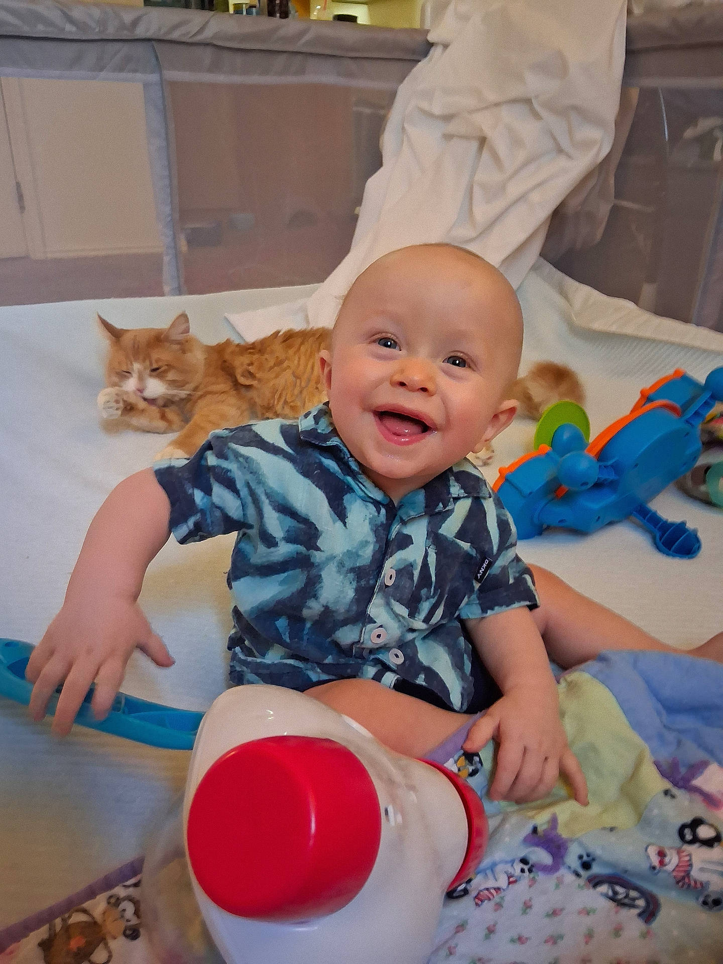 Franklin joined the competition — help win amazing prizes! baby, blanket, cat, child, colorful, cute, domestic_animal, floor, happy, home, indoor, infant, orange_cat, pet, playtime, relaxed, shirt, sitting, smiling, toy