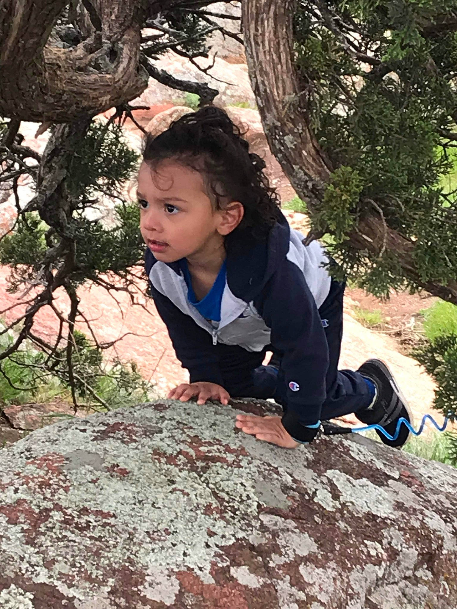 Jordan joined the competition — help win amazing prizes! baby, baby_toddler_clothing, botany, child, forest, fun, grass, happy, leaf, leisure, mammal, people_in_nature, person, plant, spring, toddler, tree, trunk, vertebrate, wood