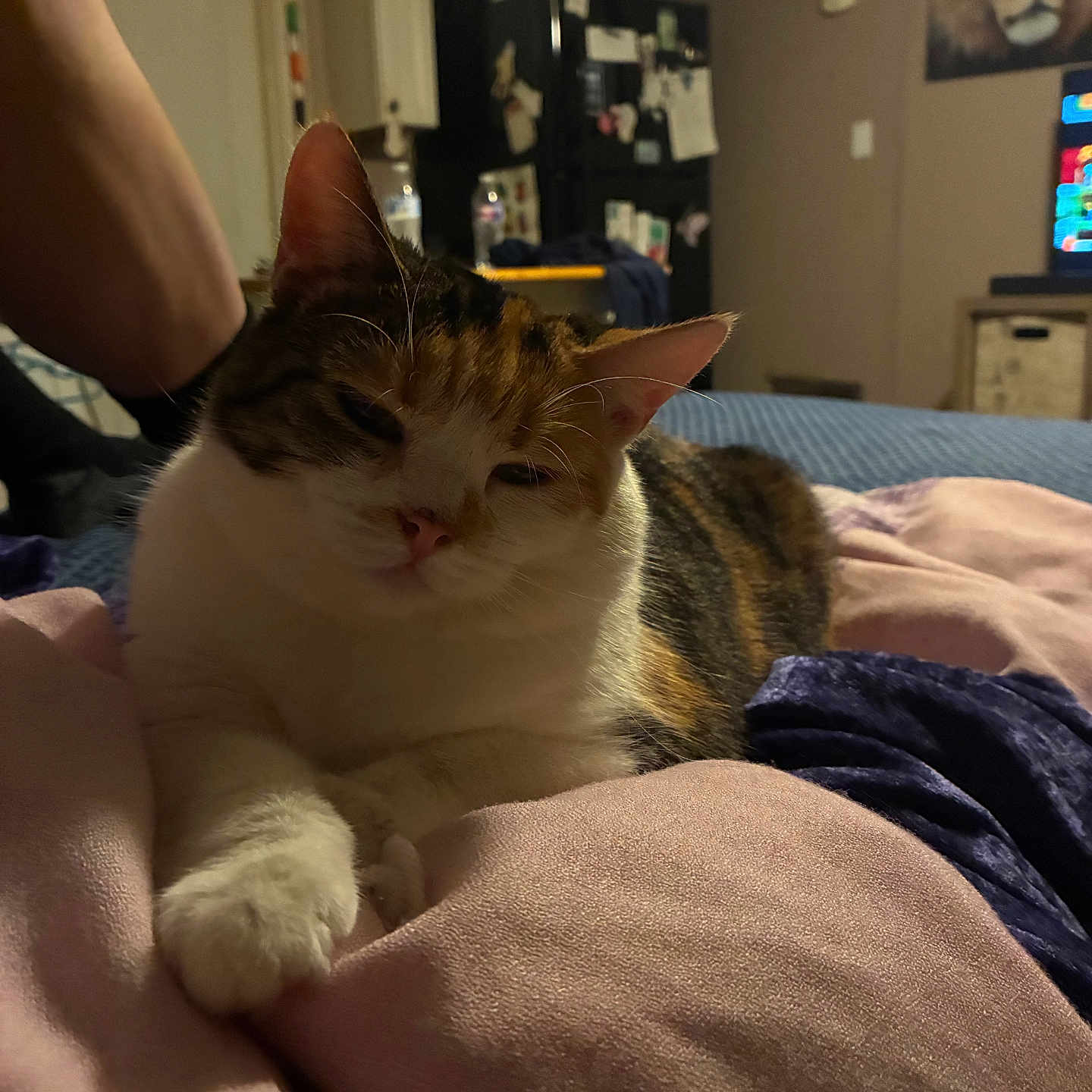 Precious