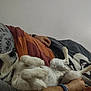 bed, blanket, casual_clothing, comfort, cozy, cuddling, dog, domestic_animal, fur, hand, home, indoor, lying_down, paw, person, pet, relaxing, resting, sleepy, white_wall