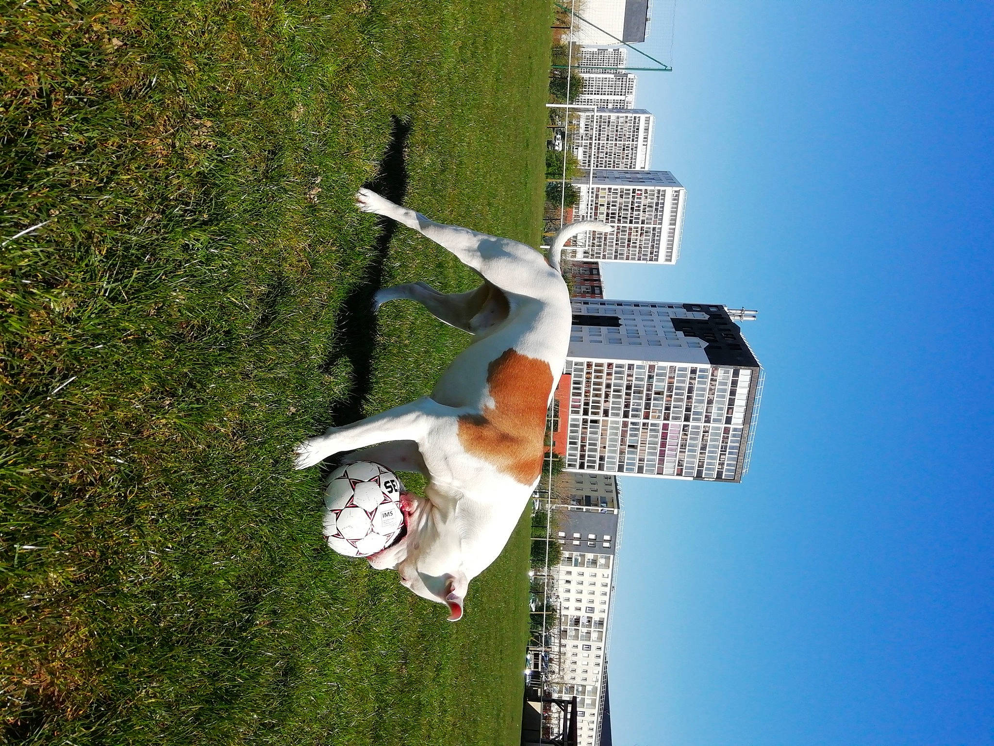 Oslo participe au concours pour gagner de l'argent avec cette photo : apartment, building, condominium, dress, facade, fun, grass, happy, house, leisure, plant, sky, tree, urban_design, window