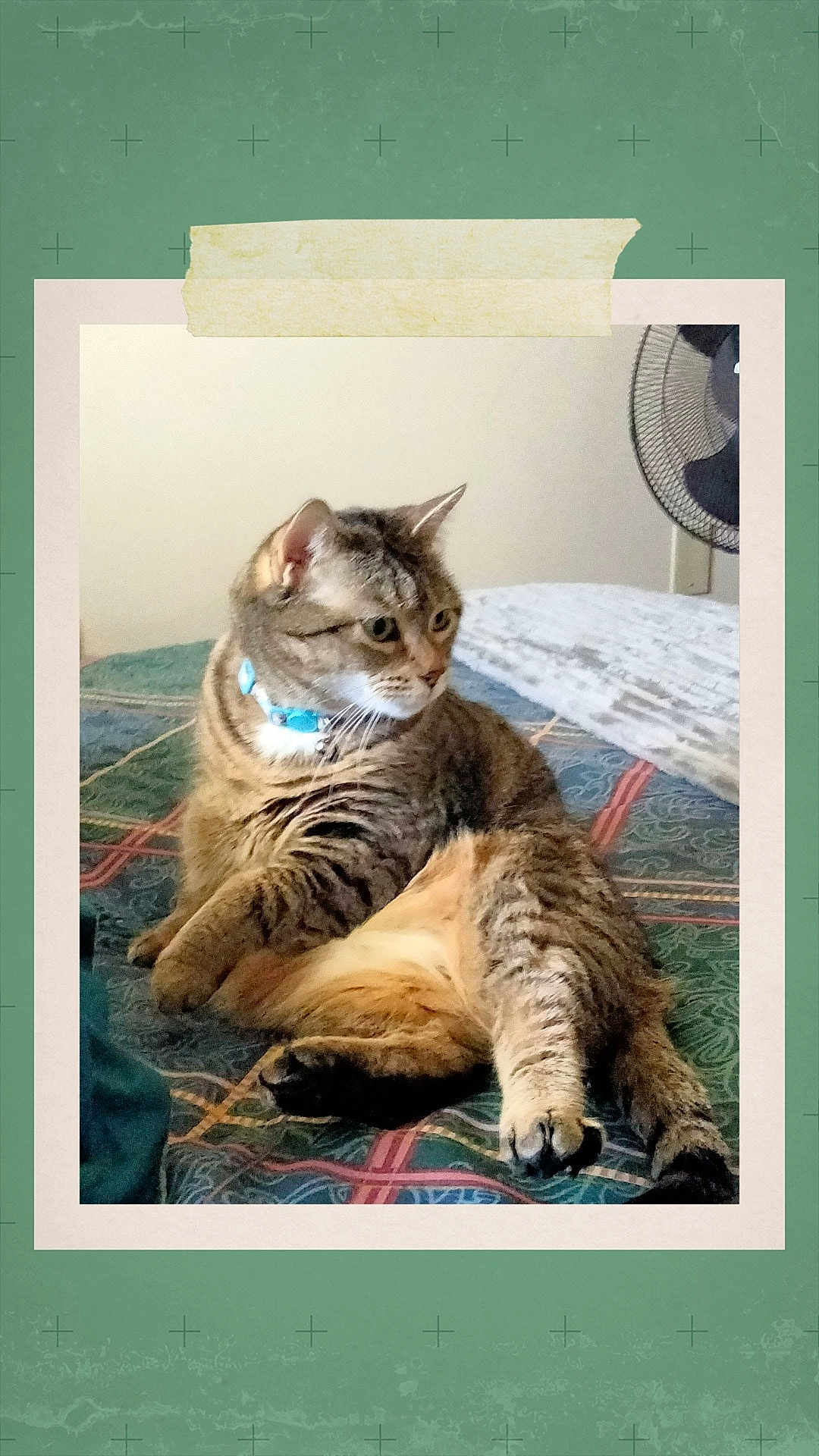 Peanut
