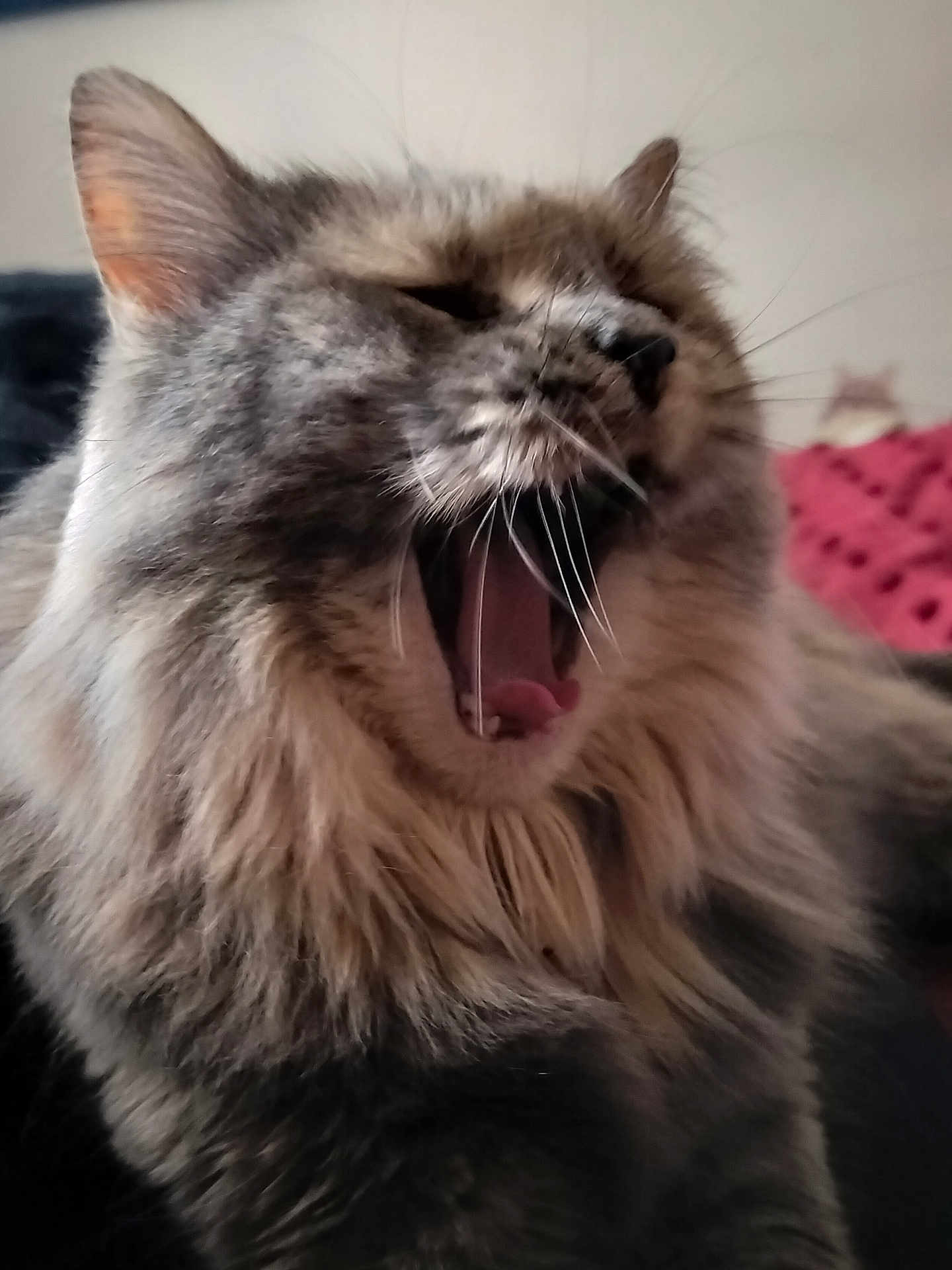 Precious